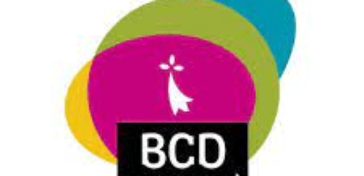 Responsable de la promotion, valorisation et diffusion des productions Bretagne Culture Diversité (CDI)